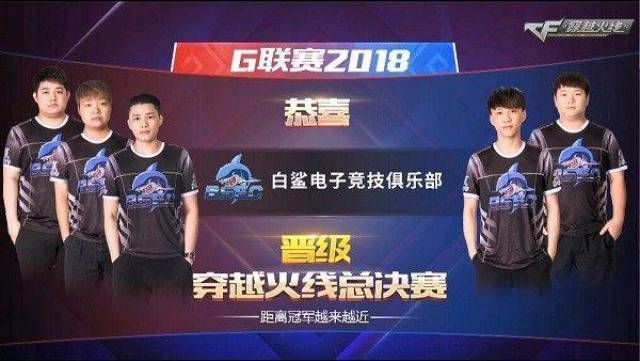 适配性极强 适配性极强