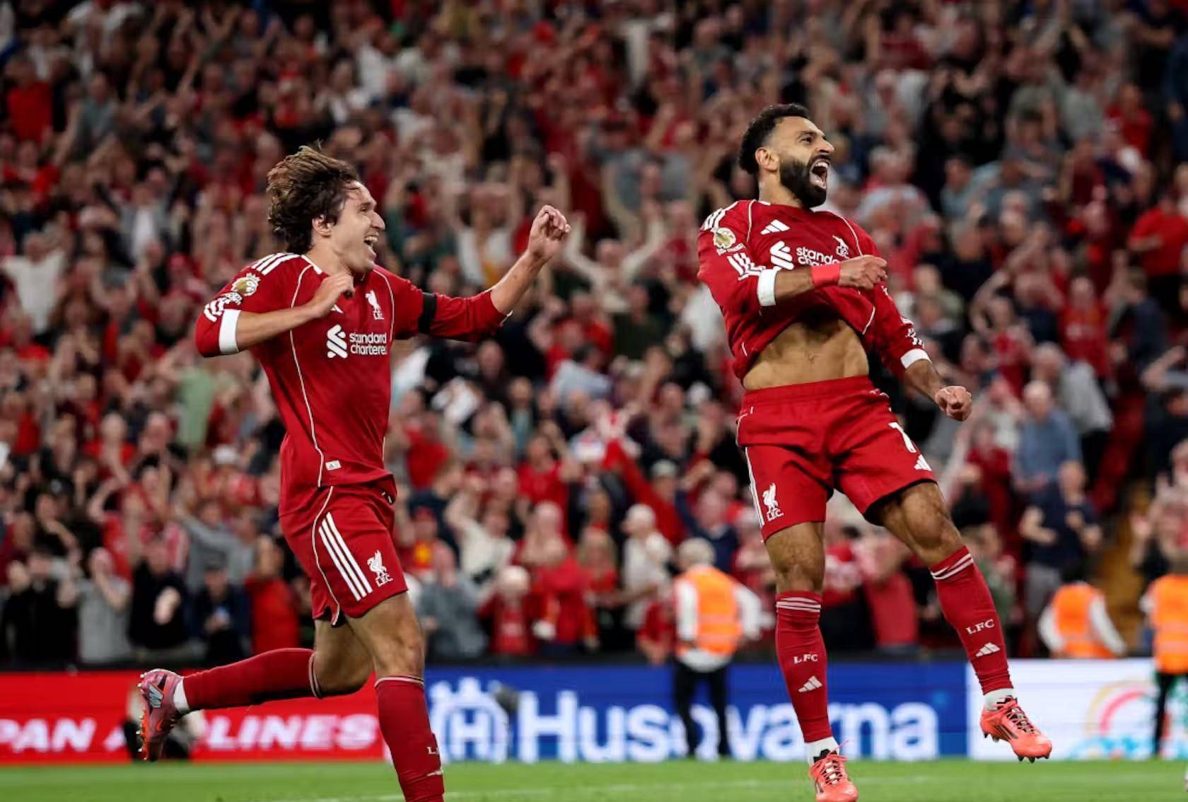 他们期望在 他们期望在