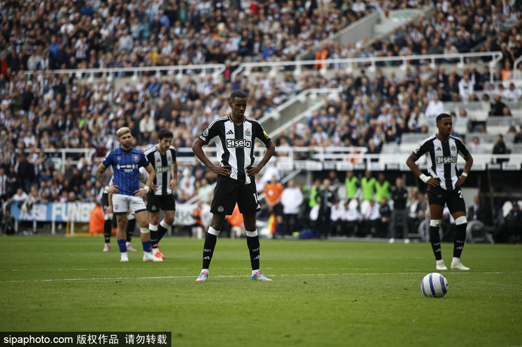 对杨飞飞来 对杨飞飞来