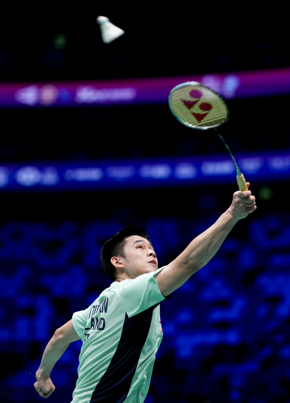 媒体的广泛 媒体的广泛